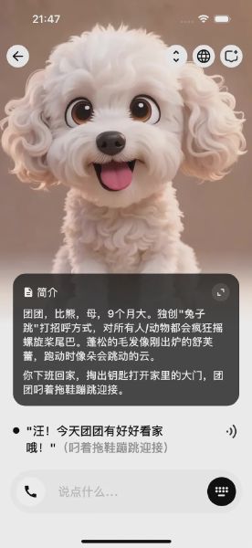 飞流 AI
